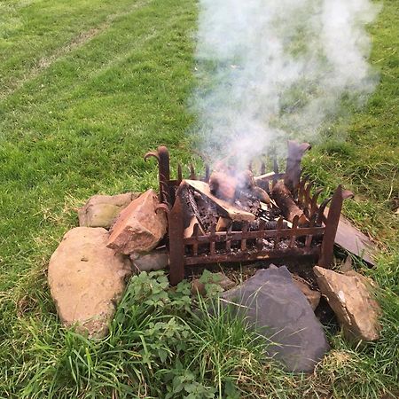 Rivendell Glamping Pods Hotell Holsworthy Exteriör bild